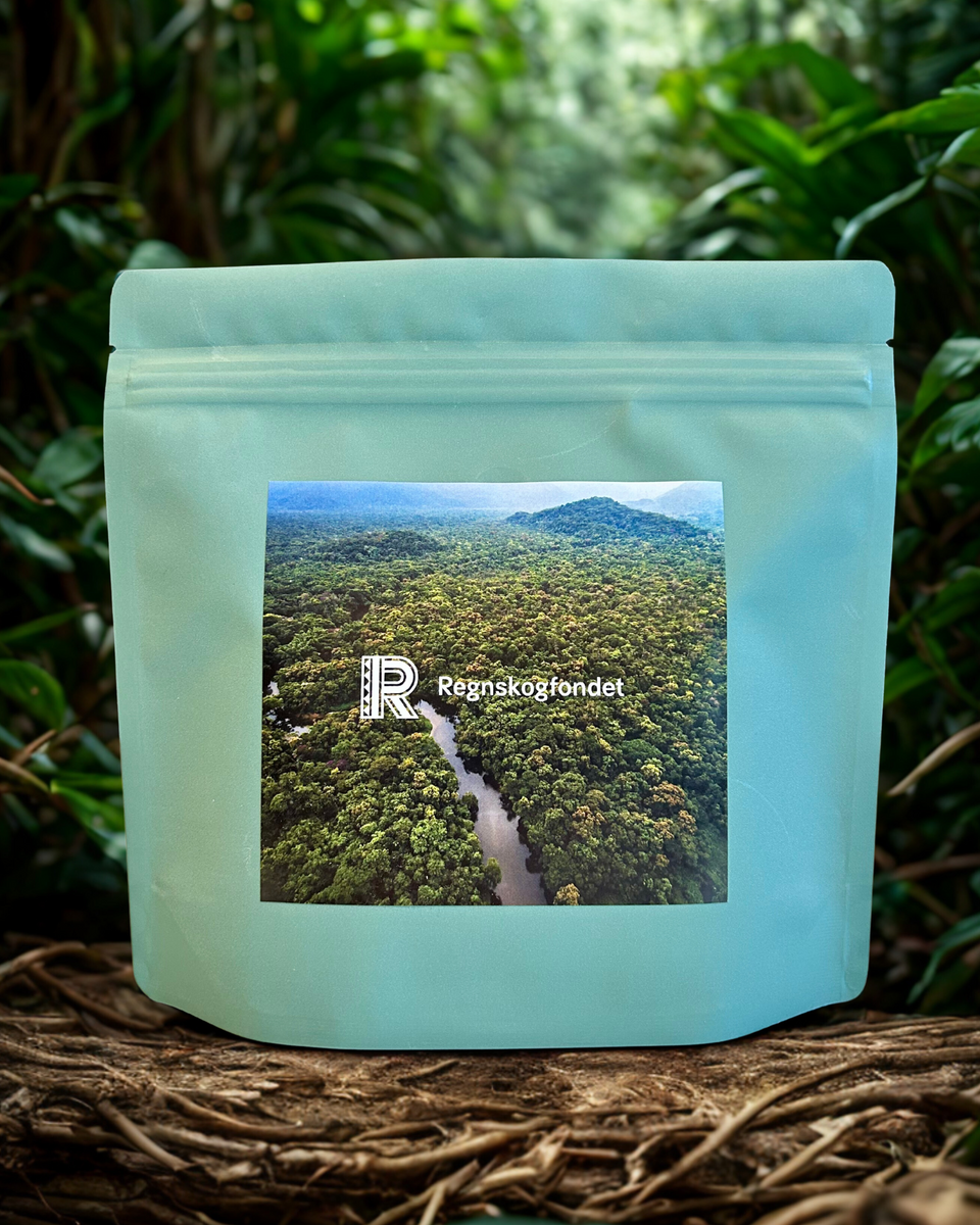 Rainforest Coffee
